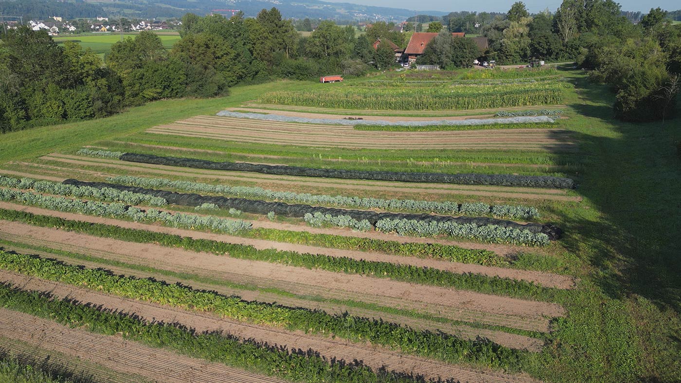 Slow Grow – der Boden lebt